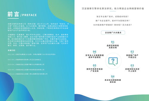 互聯(lián)網(wǎng)公司畫冊 點瑞科技